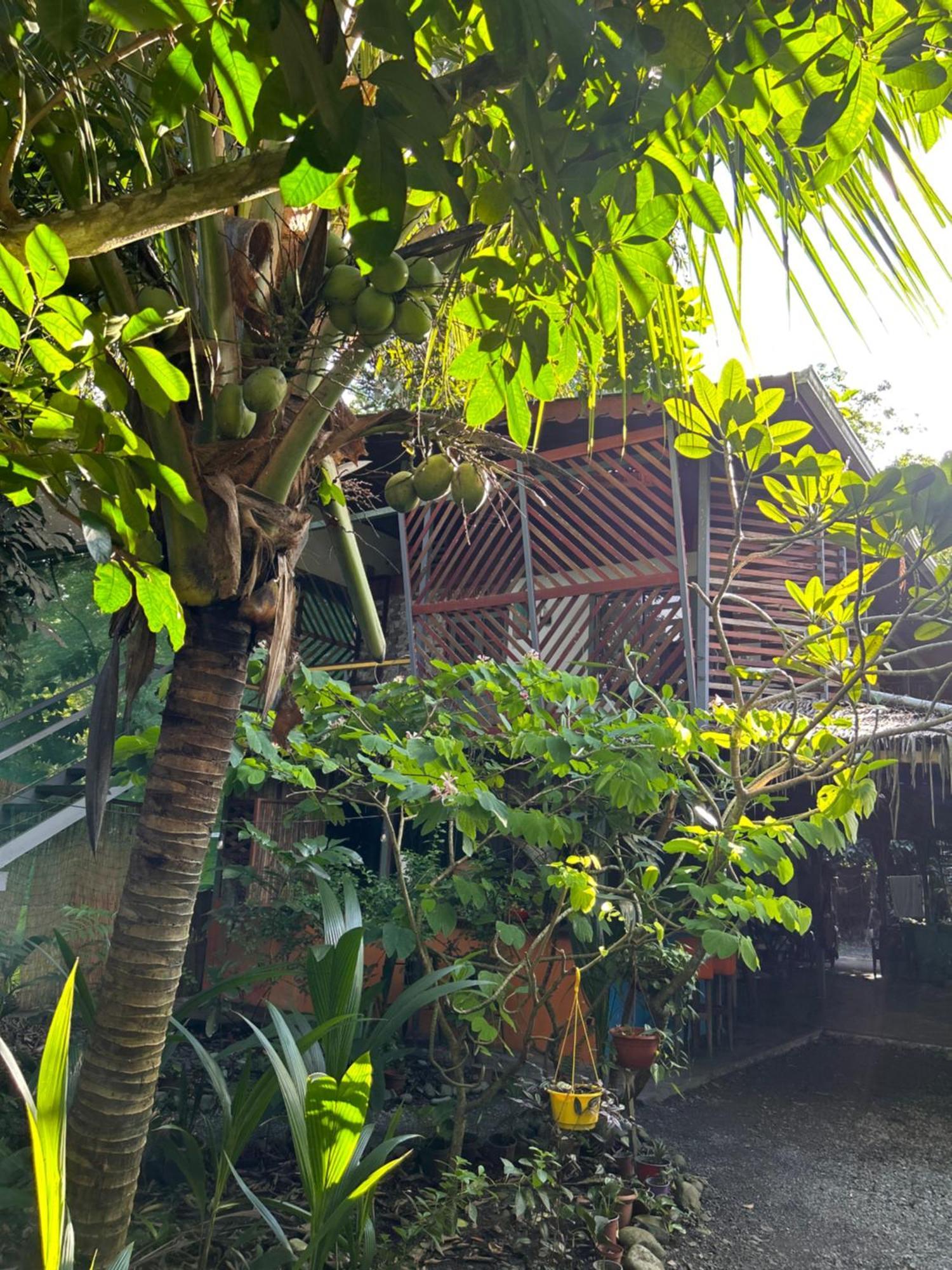Organico Punta Riel Hotel Cahuita Exterior photo