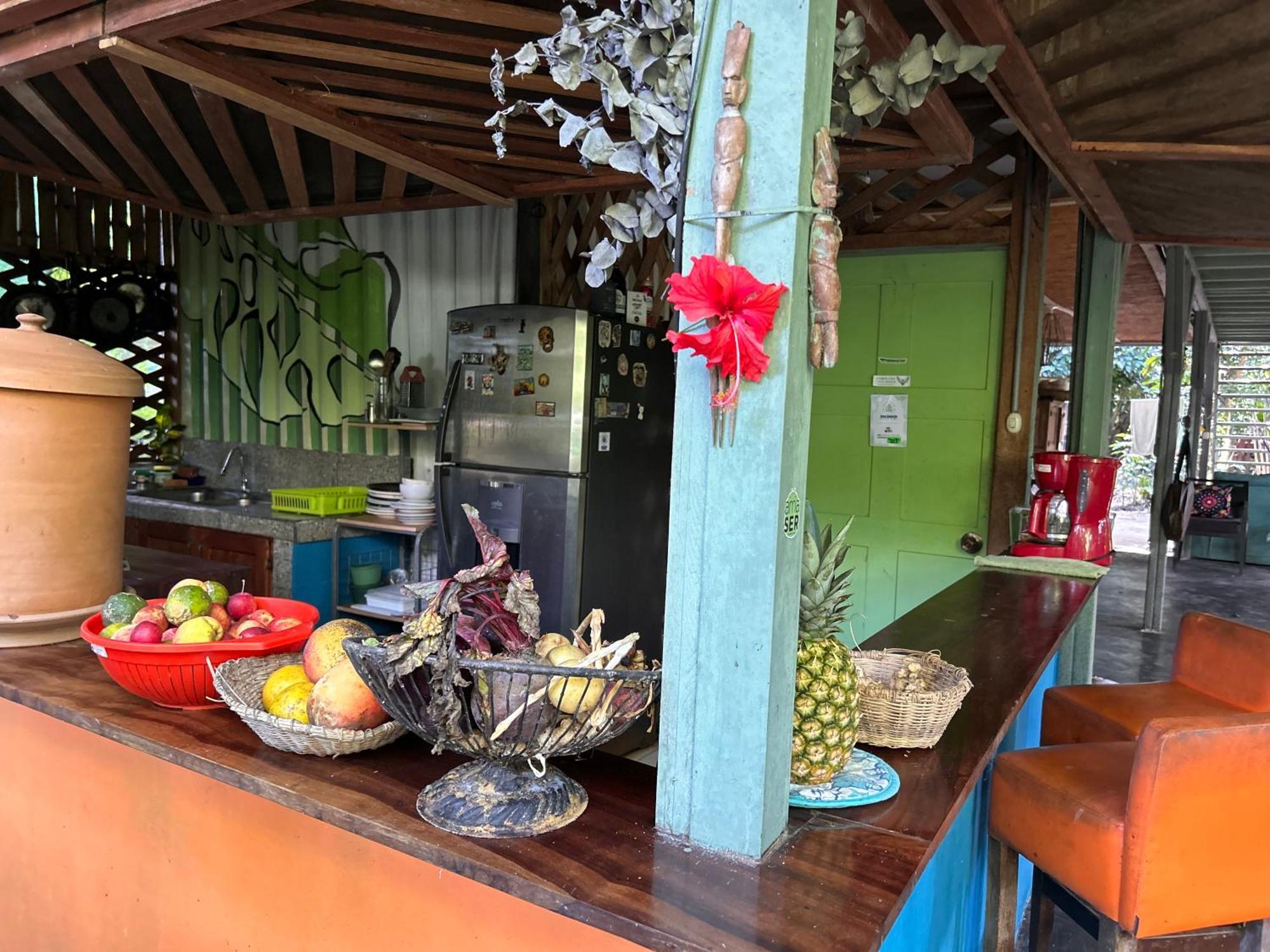 Organico Punta Riel Hotel Cahuita Exterior photo
