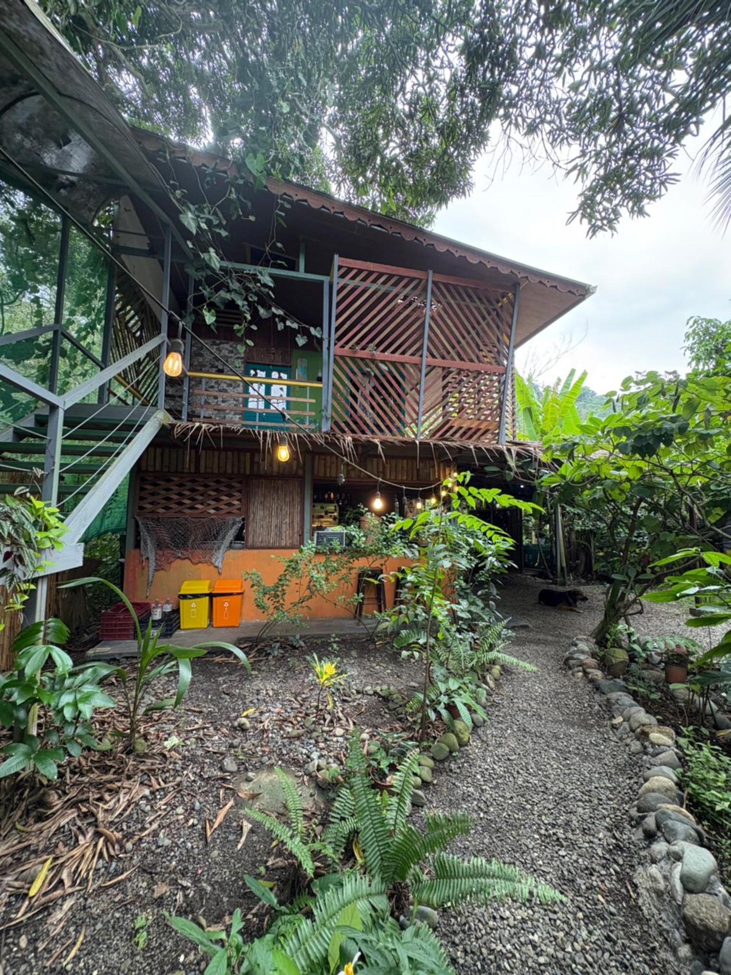 Organico Punta Riel Hotel Cahuita Exterior photo