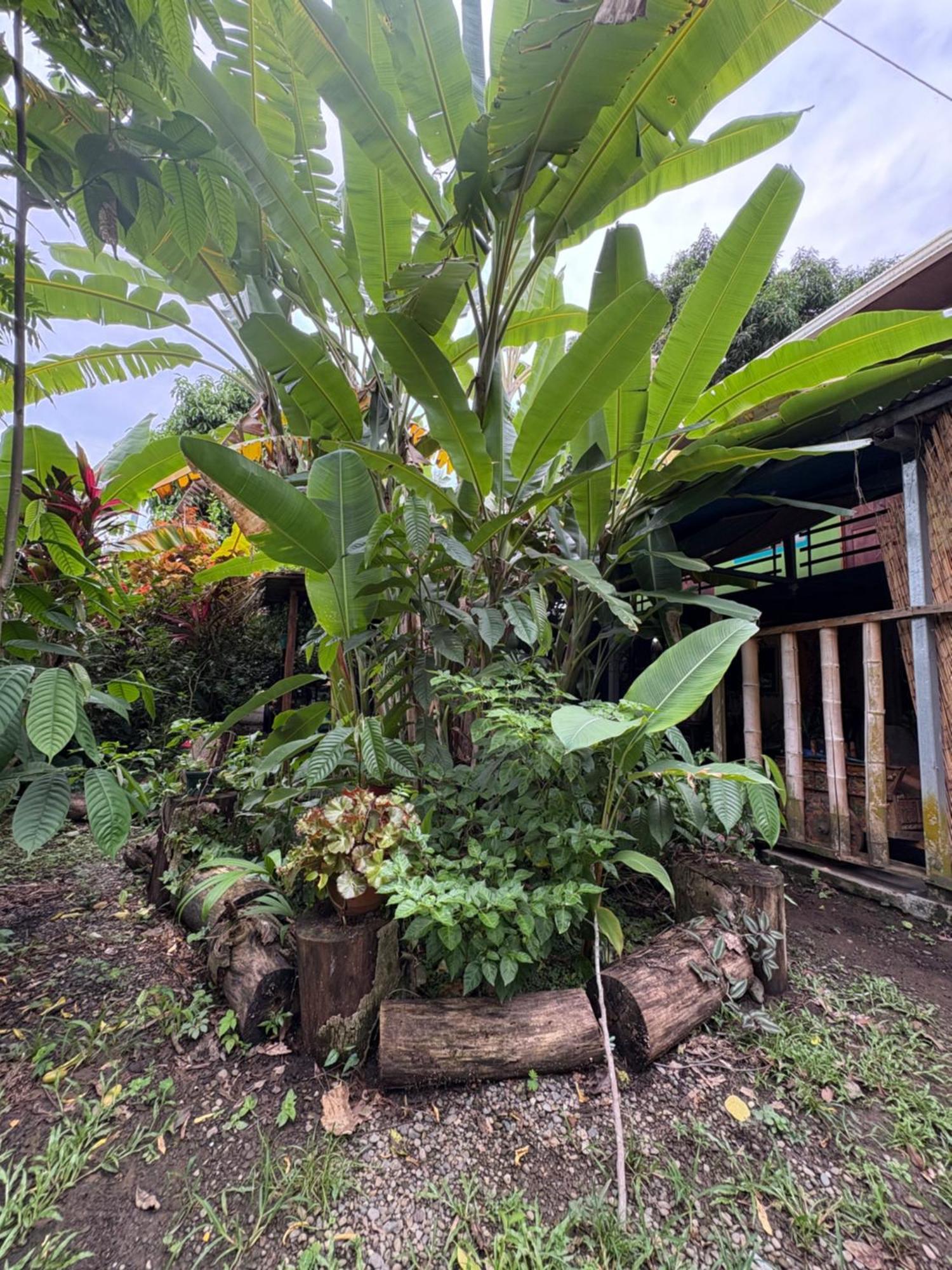 Organico Punta Riel Hotel Cahuita Exterior photo
