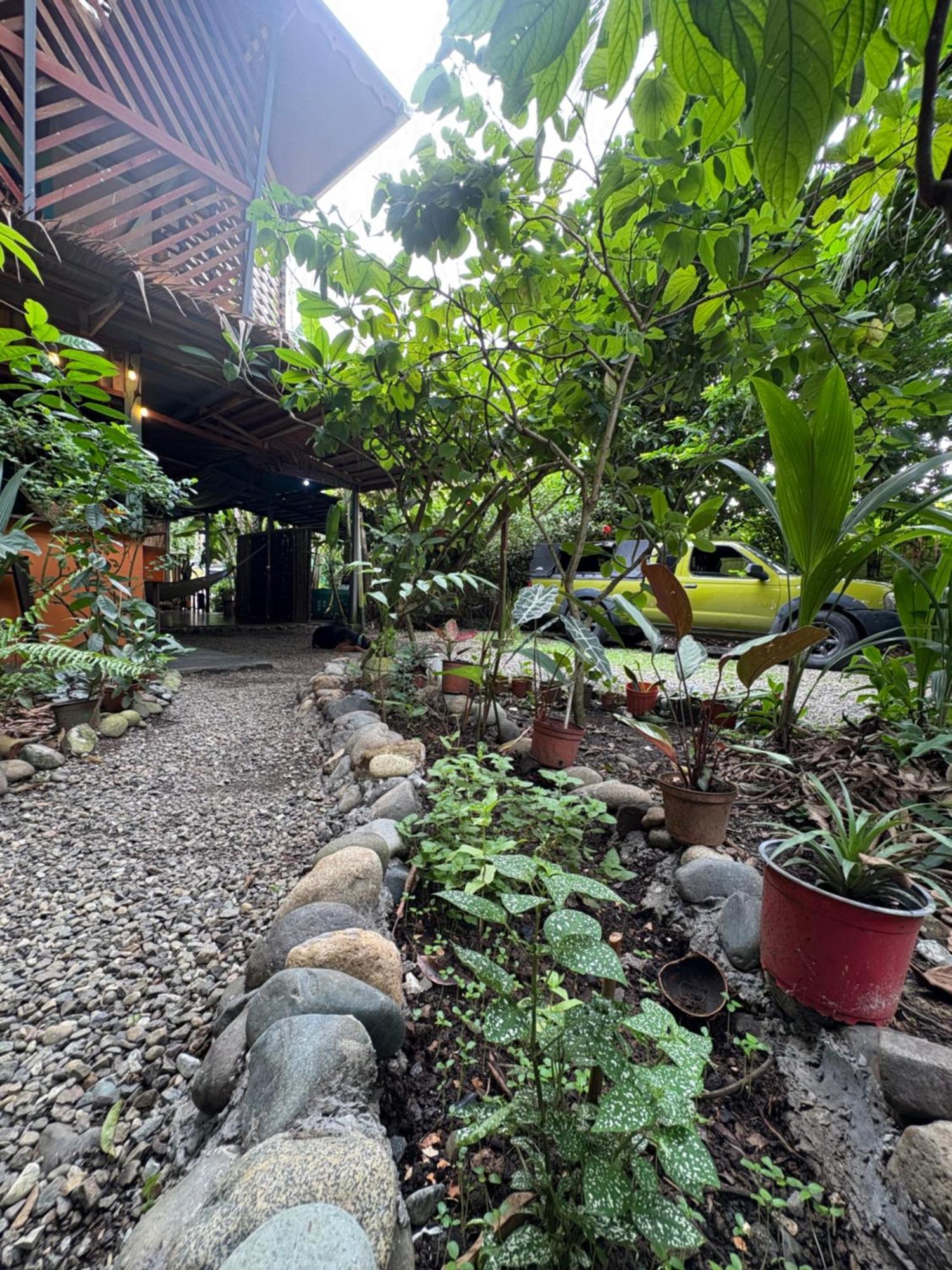 Organico Punta Riel Hotel Cahuita Exterior photo